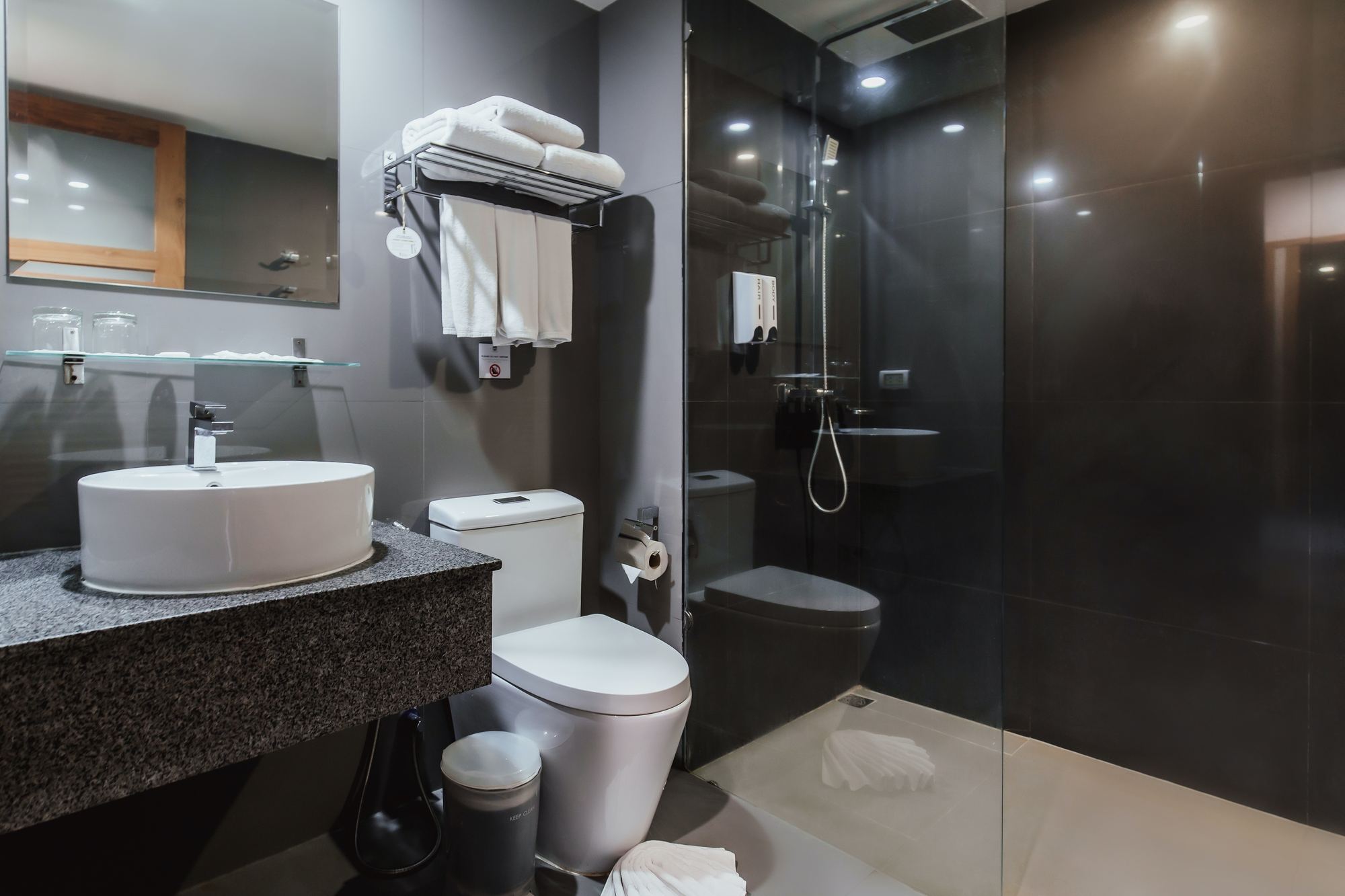 Family Room Bathroom